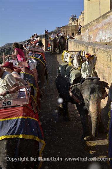 04 Fort_Amber_and Elephants,_Jaipur_DSC5007_b_H600